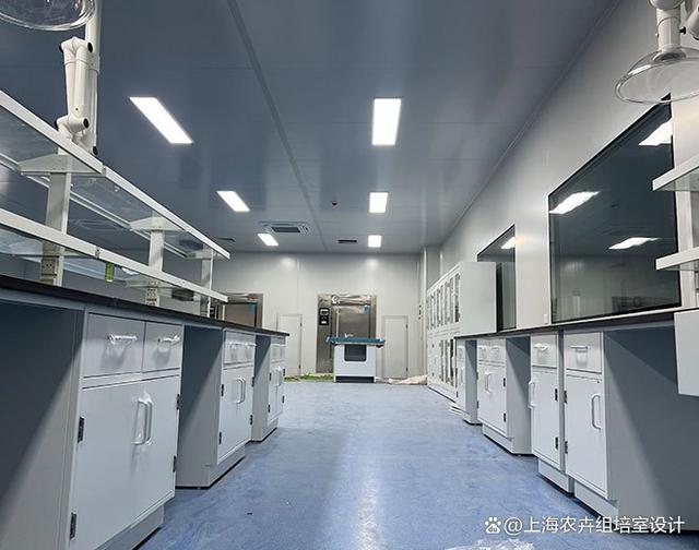 山東淄博甘薯組培室設備全套 打造現代農業實驗室成套解決方案