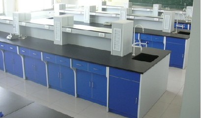 產(chǎn)品中心 實(shí)驗(yàn)室成套設(shè)備 —— 提供一站式專業(yè)化解決方案